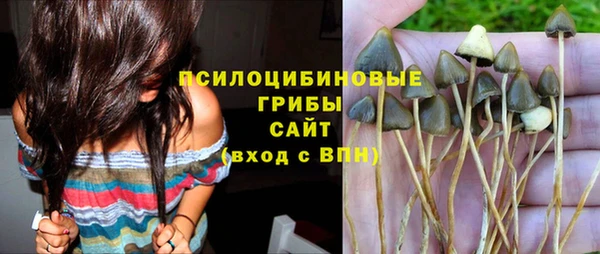 синтетический гашиш Елабуга