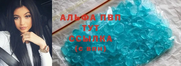 spice Ельня